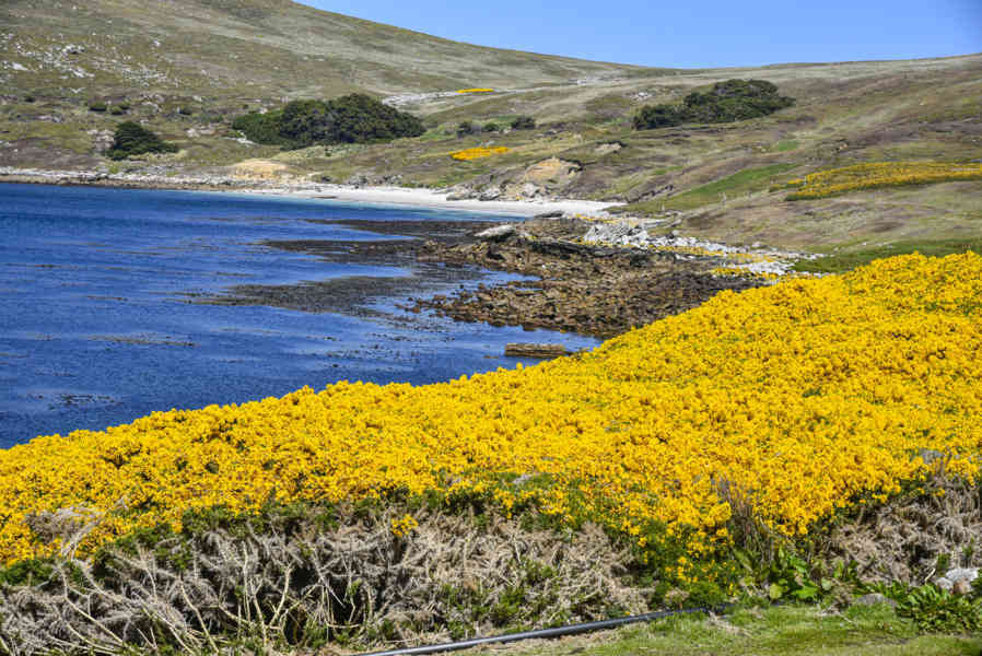 Islas Falkland o Malvinas 067.jpg